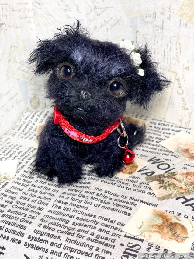 Buka 🐶🐾 — Реалистичные игрушки и звери (Натюр): собаки (фото 6)
