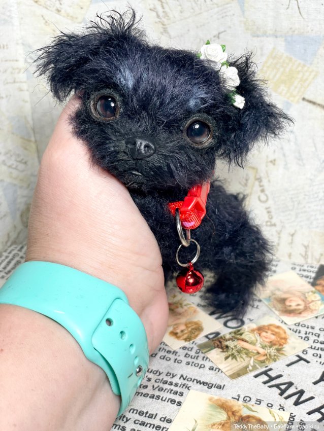 Buka 🐶🐾 — Реалистичные игрушки и звери (Натюр): собаки (фото 8)