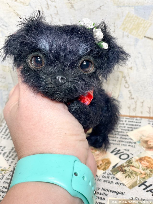 Buka 🐶🐾 — Реалистичные игрушки и звери (Натюр): собаки