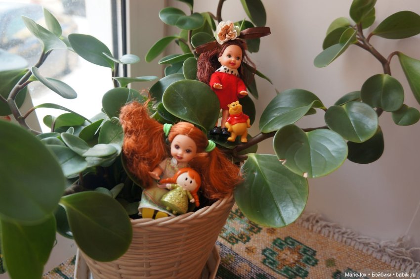 Девочки - цветочки поздравляют с Весной