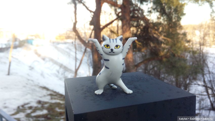 Котам – Масленица! (постконкурс)