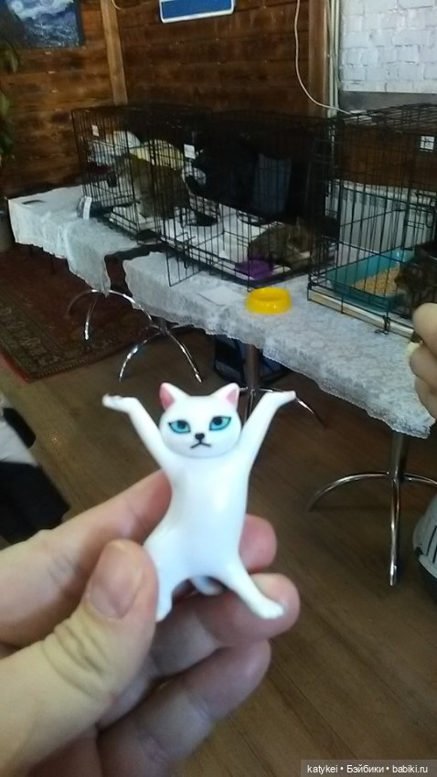 Котам – Масленица! (постконкурс)