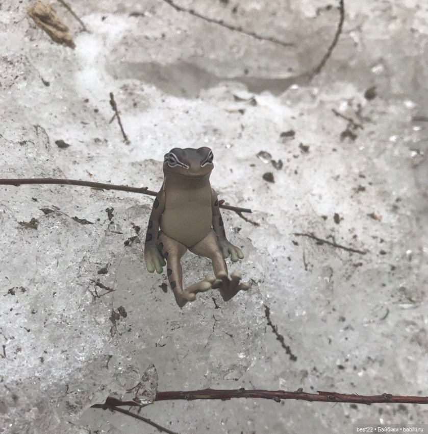 Капсульный лягушонок — Интересные игрушки и фигурки (разное): редкие