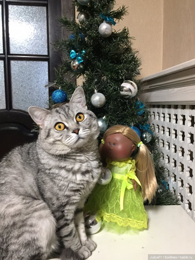 Моя испанская мулаточка Мия Mia (фото 5)