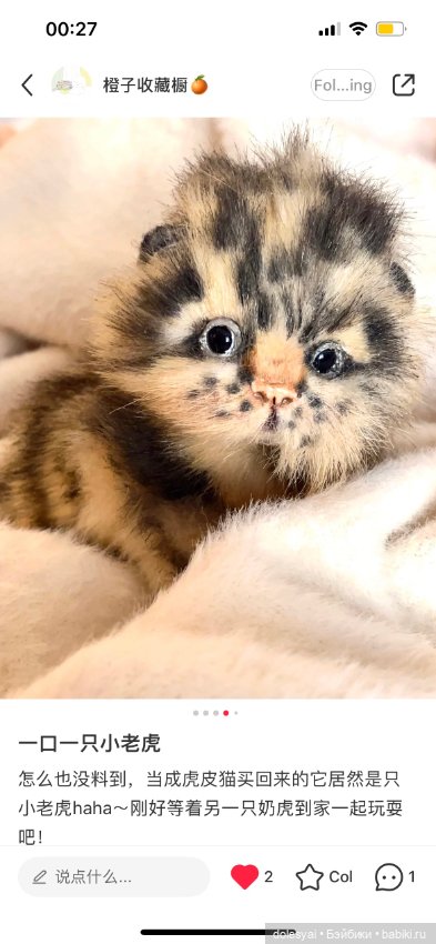 Посылка в Великобританию🇬🇧 (фото 2)