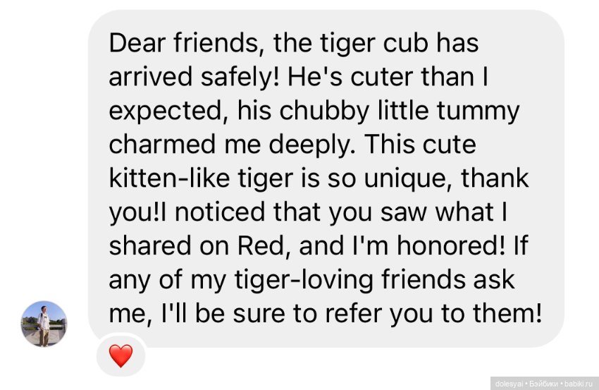 Посылка в Великобританию🇬🇧 (фото 4)