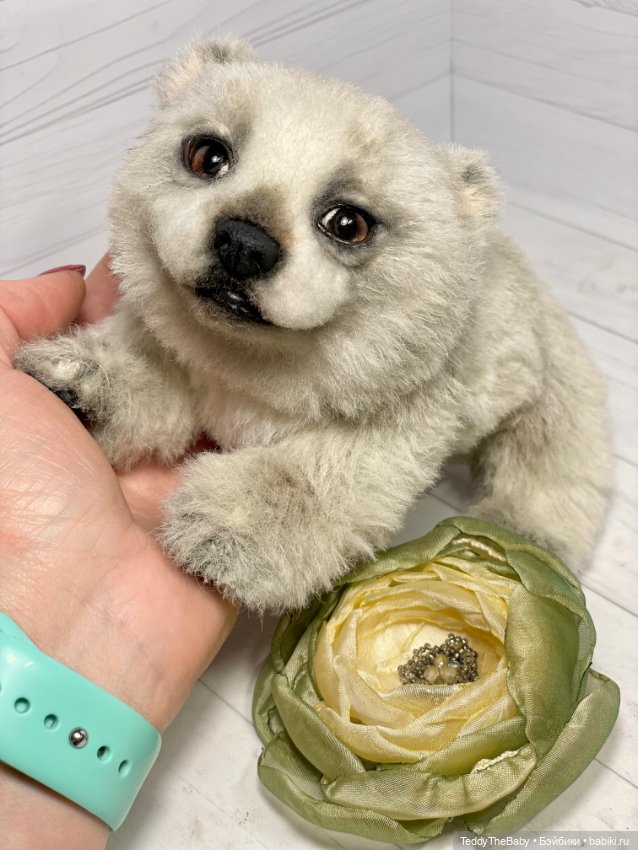 Пельмень 🥟🐻‍❄️ — Реалистичные игрушки и звери (Натюр): собаки (фото 5)