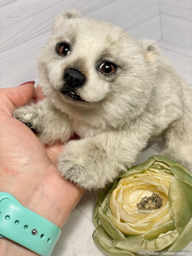 Пельмень 🥟🐻‍❄️ — Реалистичные игрушки и звери (Натюр): собаки (фото 2)