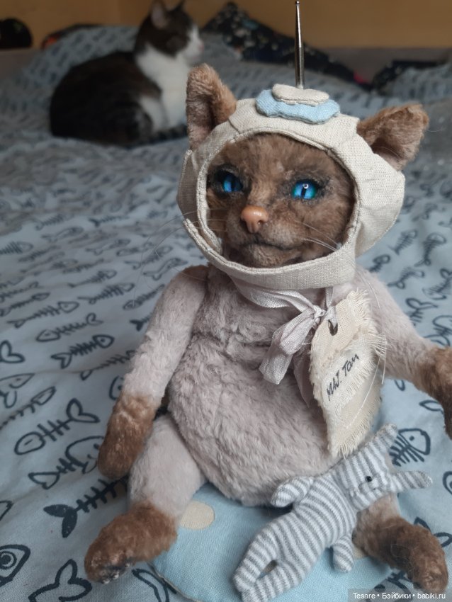 Майор Том — Домашние фото авторских игрушек: Тедди