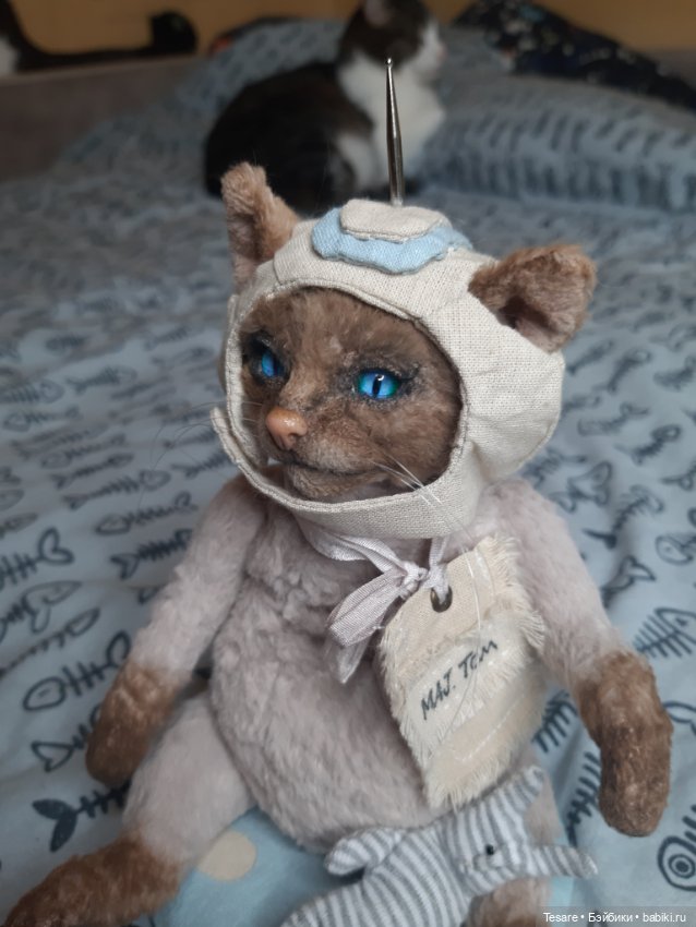 Майор Том — Домашние фото авторских игрушек: Тедди