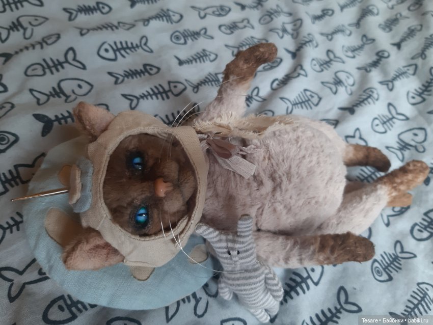 Майор Том — Домашние фото авторских игрушек: Тедди