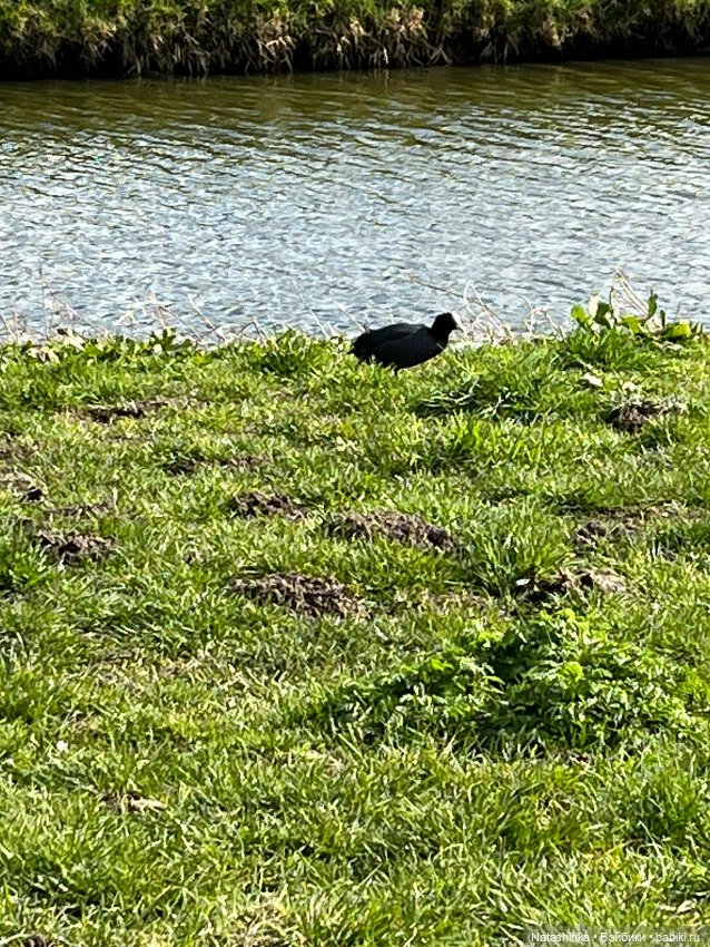 Fashionnn Dolls 482 — Туризм и путешествия: фотоотчеты из поездок (фото 3)