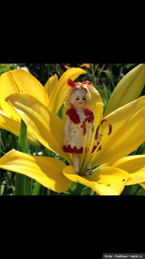 Не стряхни пыльцу с крыльев бабочки