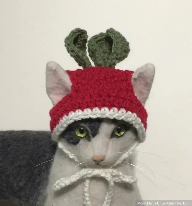 Художница своими руками делает шапочки для котеек