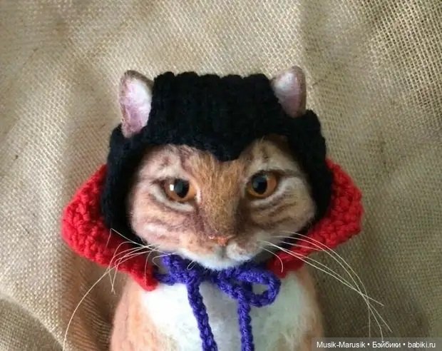 Художница своими руками делает шапочки для котеек