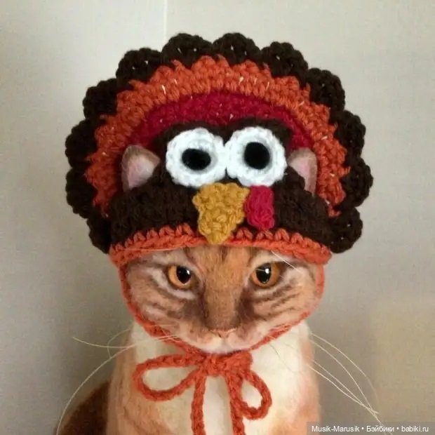 Художница своими руками делает шапочки для котеек (фото 10)