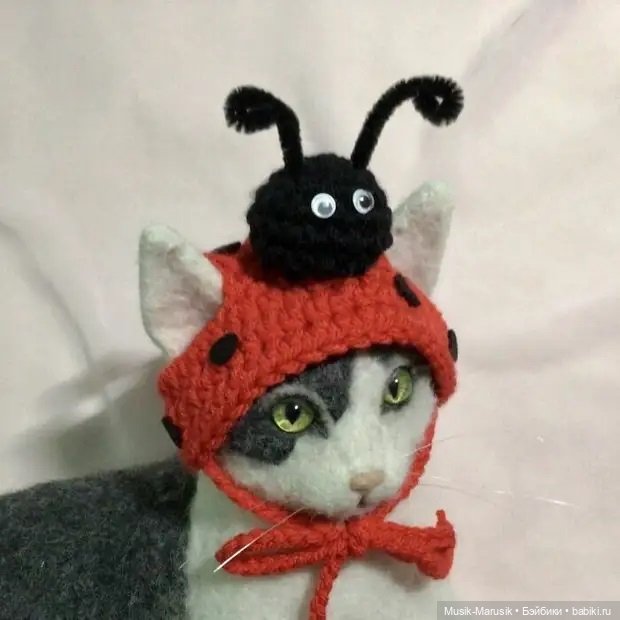 Художница своими руками делает шапочки для котеек