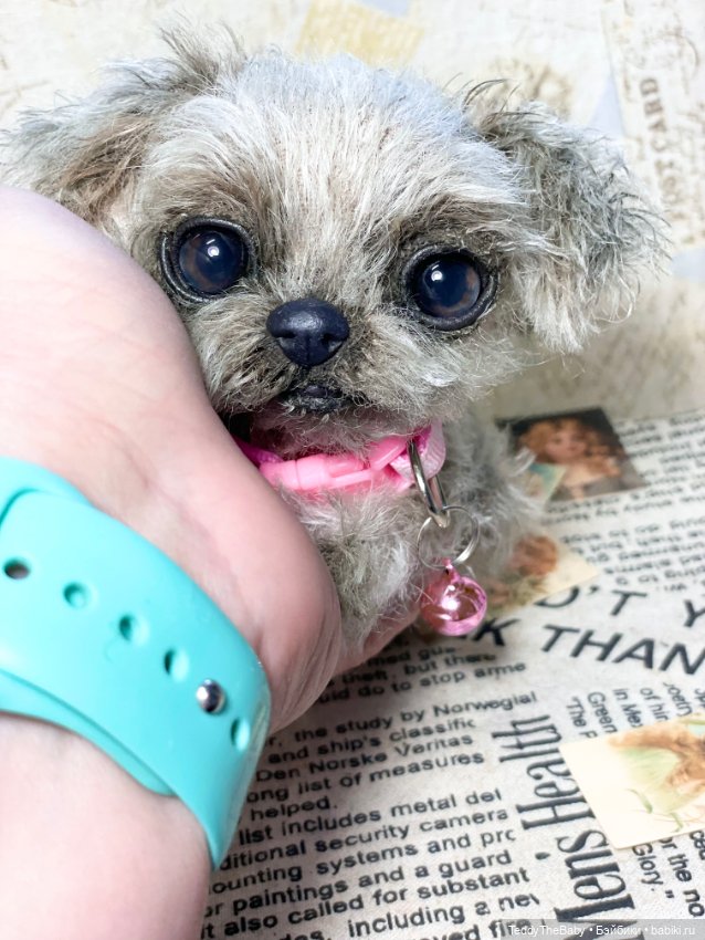 Yuta🐶 — Реалистичные игрушки и звери (Натюр): собаки