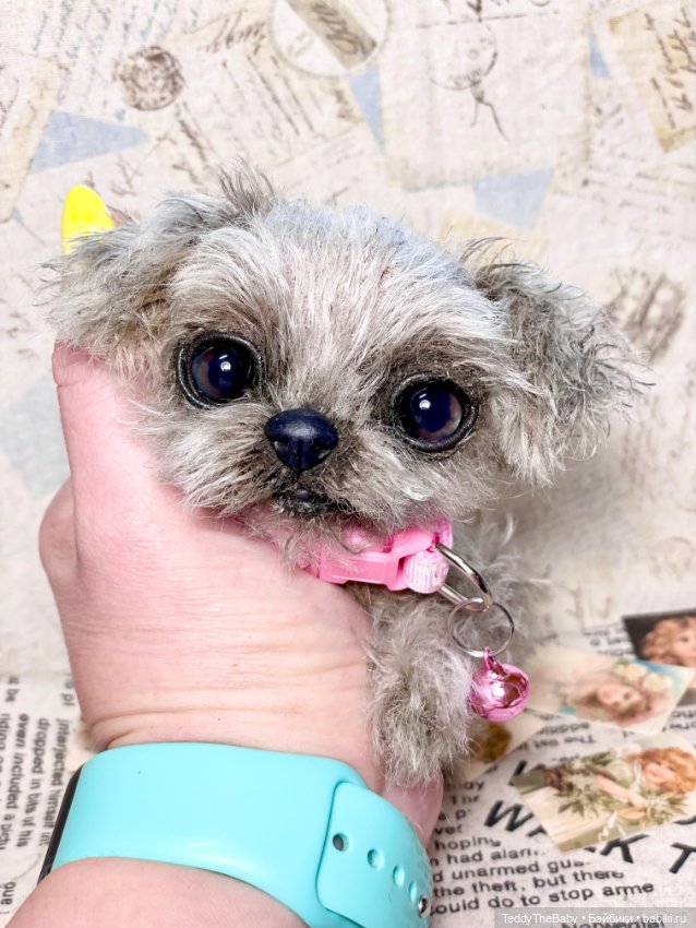 Yuta🐶 — Реалистичные игрушки и звери (Натюр): собаки