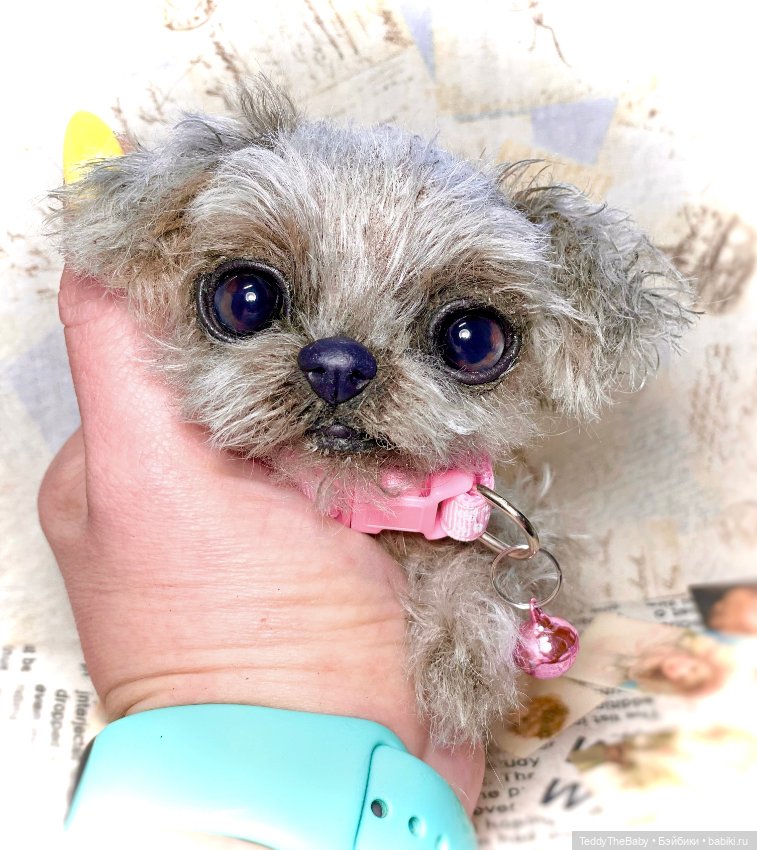 Yuta🐶 — Реалистичные игрушки и звери (Натюр): собаки (фото 2)