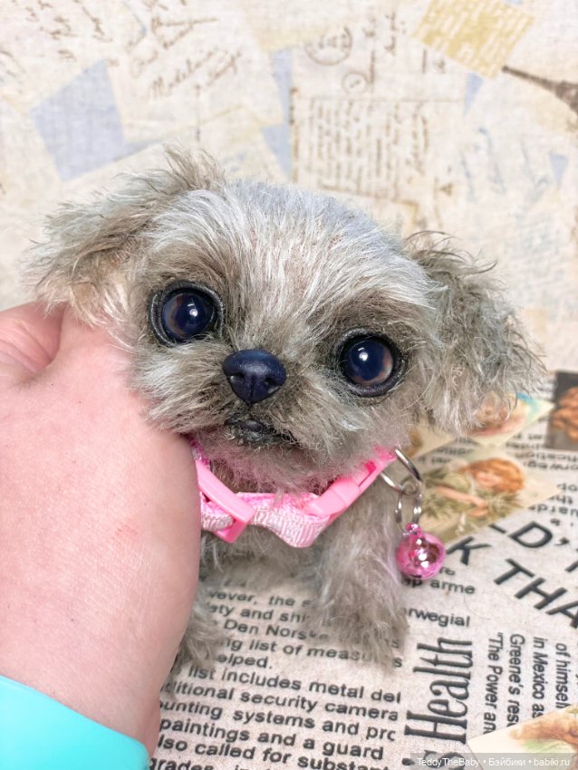 Yuta🐶 — Реалистичные игрушки и звери (Натюр): собаки (фото 9)