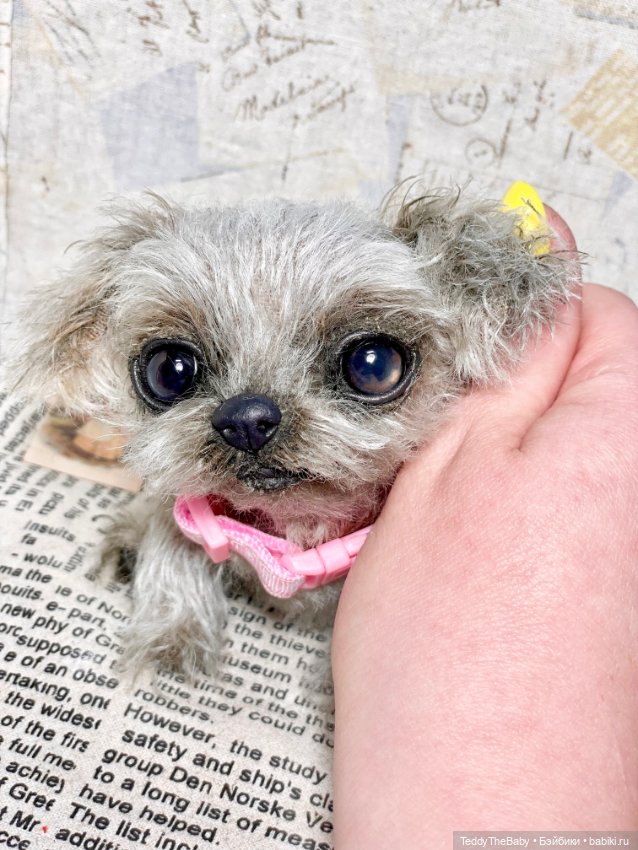 Yuta🐶 — Реалистичные игрушки и звери (Натюр): собаки (фото 7)