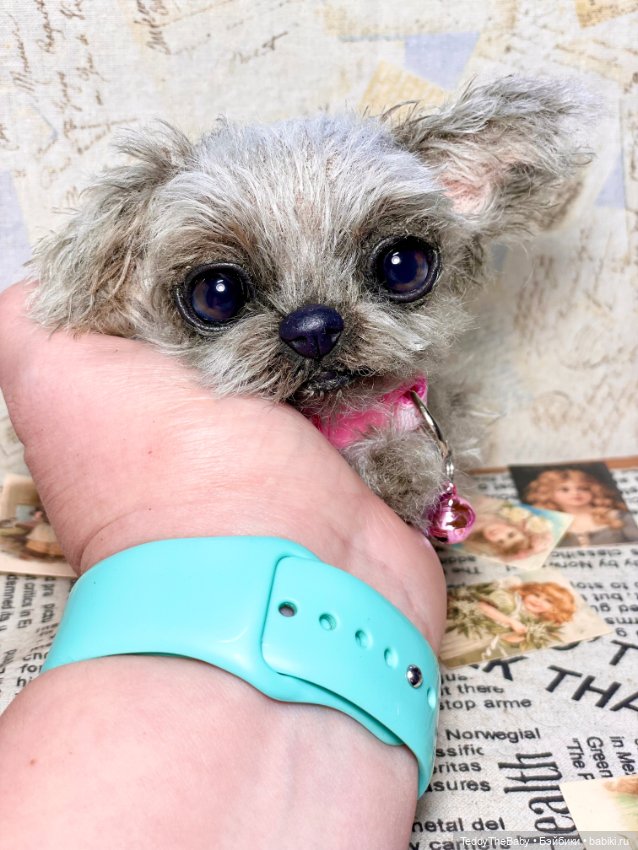 Yuta🐶 — Реалистичные игрушки и звери (Натюр): собаки