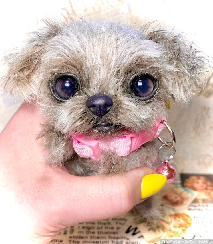 Yuta🐶 — Реалистичные игрушки и звери (Натюр): собаки