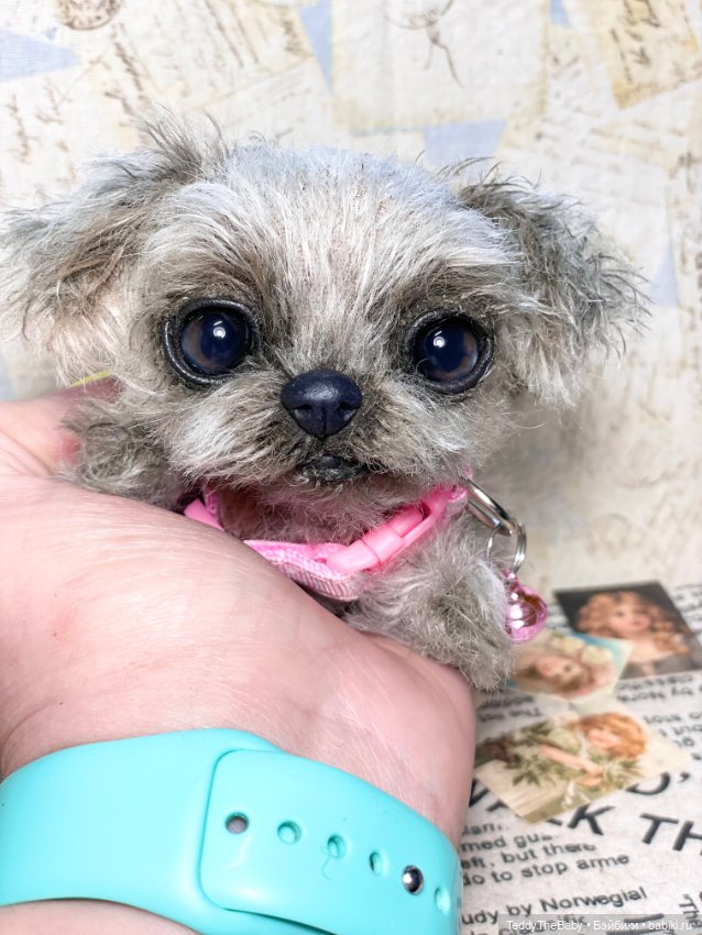 Yuta🐶 — Реалистичные игрушки и звери (Натюр): собаки