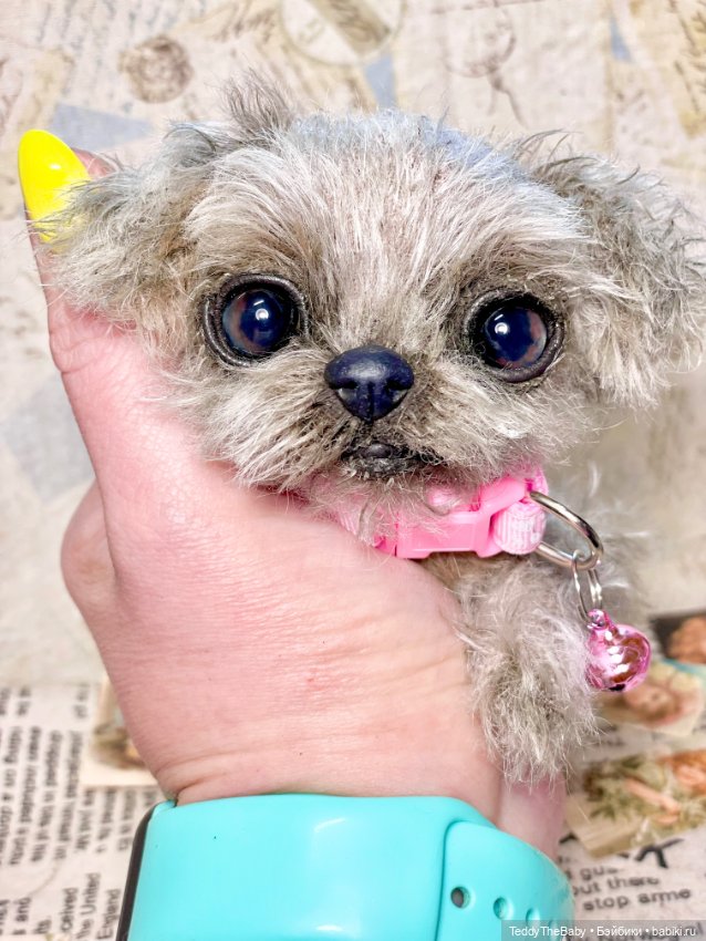 Yuta🐶 — Реалистичные игрушки и звери (Натюр): собаки