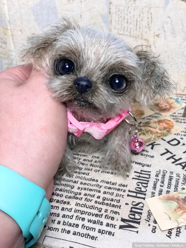 Yuta🐶 — Реалистичные игрушки и звери (Натюр): собаки (фото 5)