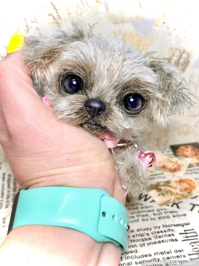 Yuta🐶 — Реалистичные игрушки и звери (Натюр): собаки