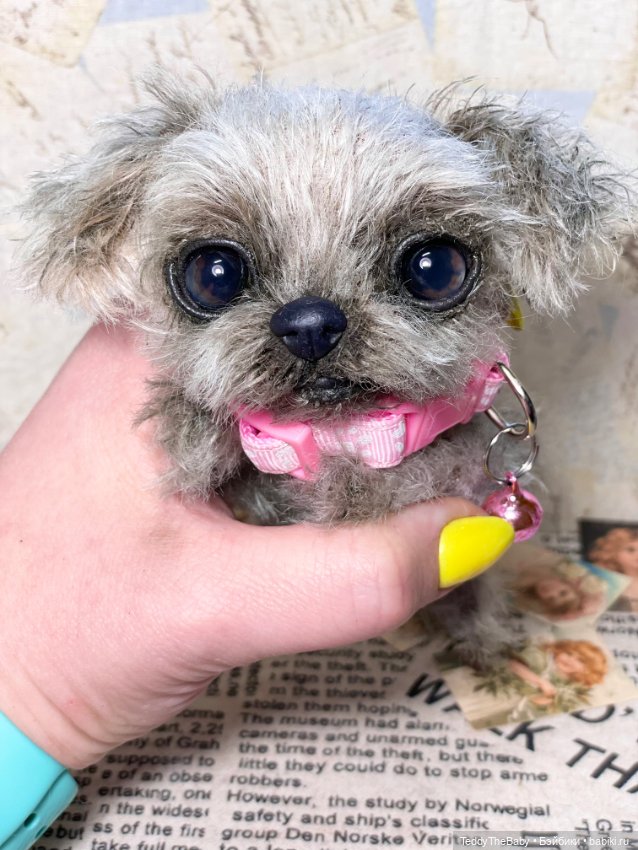 Yuta🐶 — Реалистичные игрушки и звери (Натюр): собаки (фото 8)