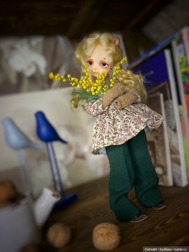 Куклы Dollzone (Доллзон): BJD (БЖД) (фото 6)