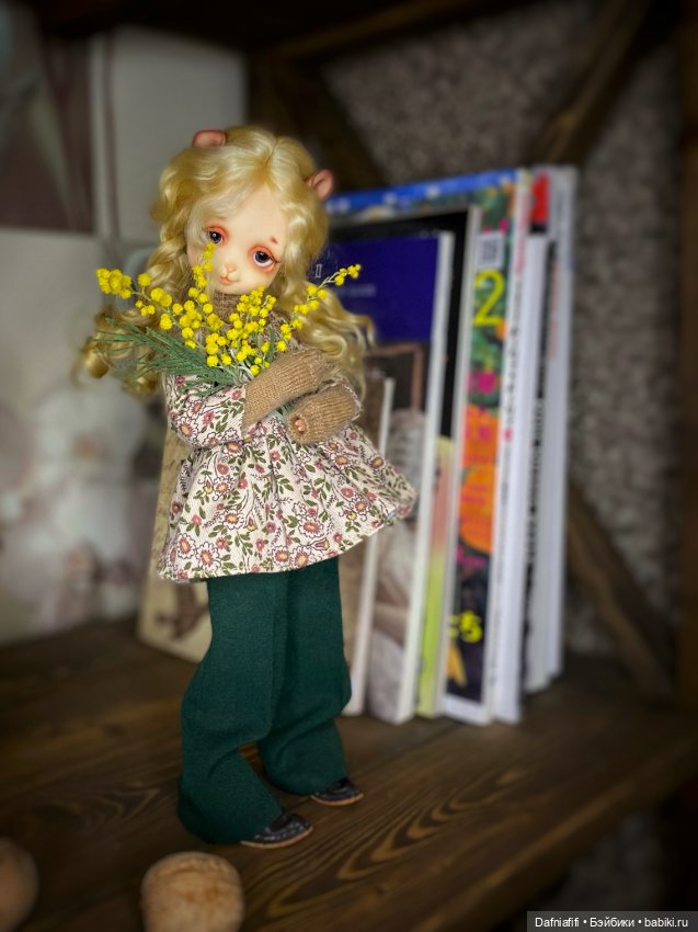 Куклы Dollzone (Доллзон): BJD (БЖД) (фото 4)