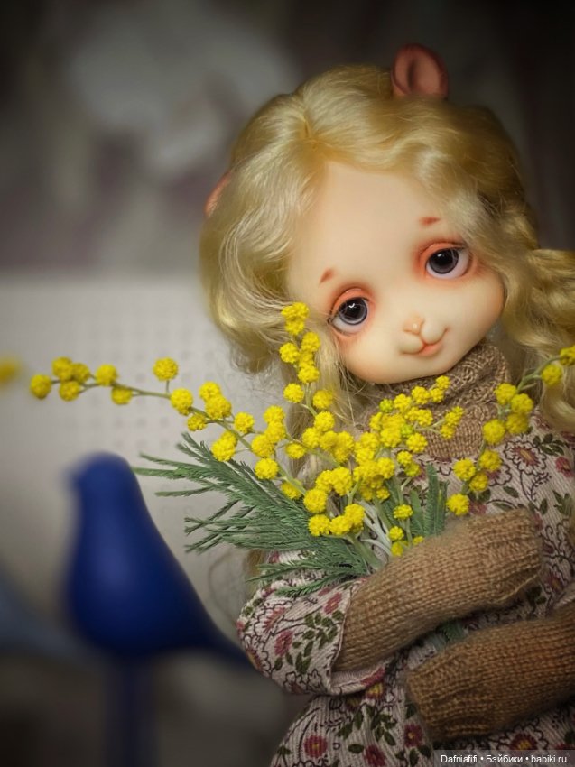 Куклы Dollzone (Доллзон): BJD (БЖД) (фото 5)