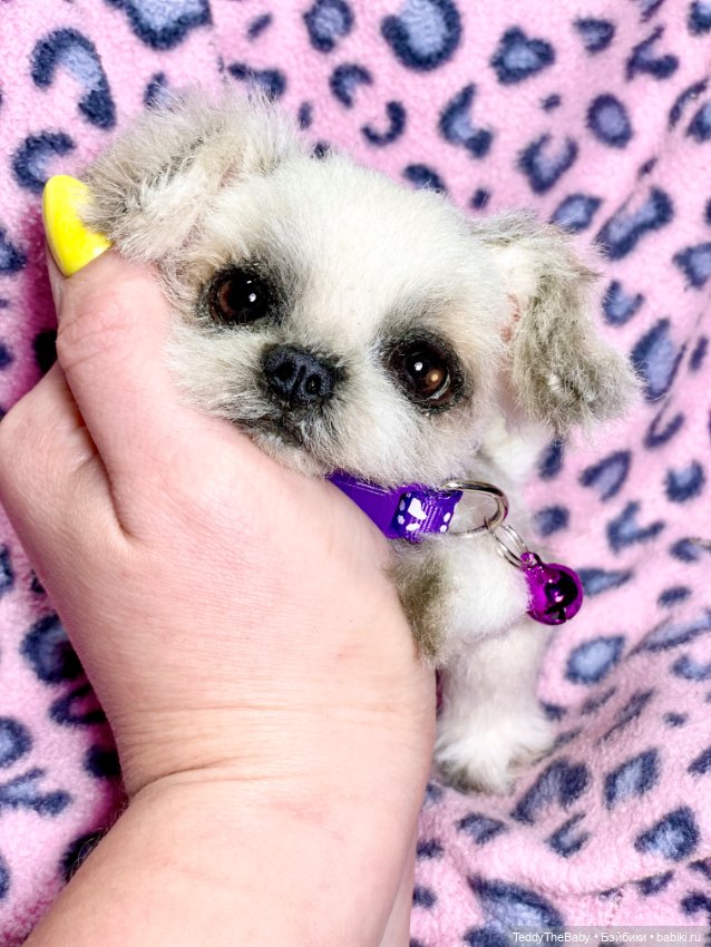 Пуся🐶 — Реалистичные игрушки и звери (Натюр): собаки