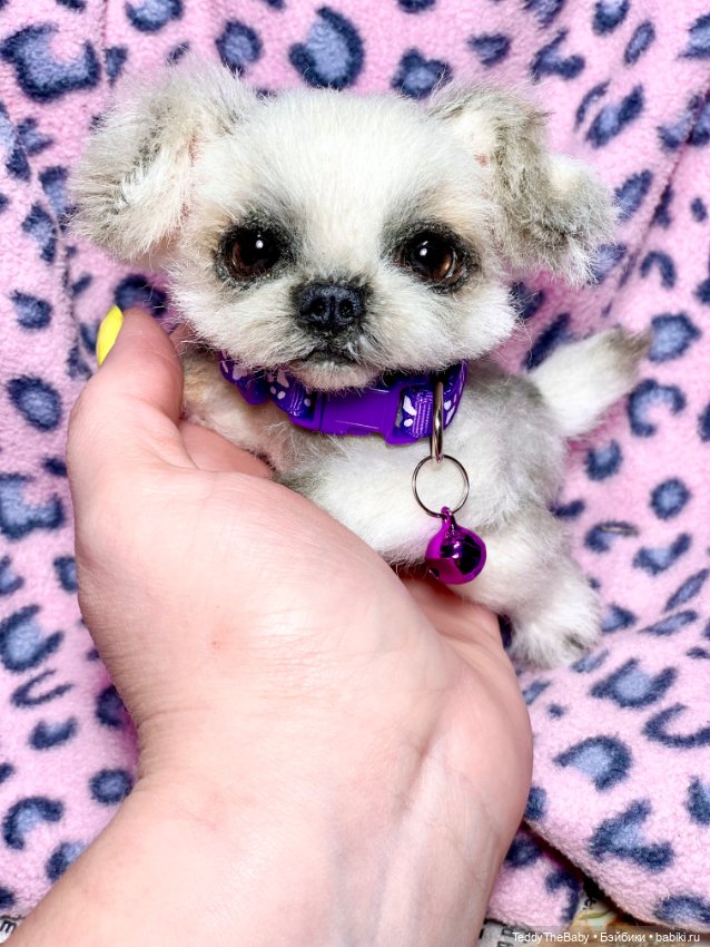 Пуся🐶 — Реалистичные игрушки и звери (Натюр): собаки