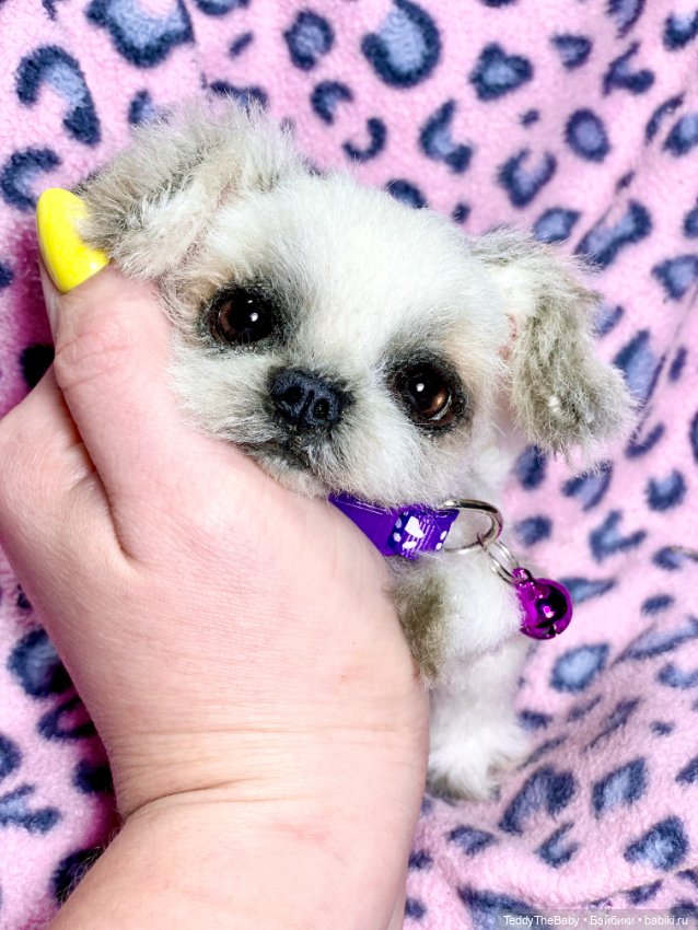 Пуся🐶 — Реалистичные игрушки и звери (Натюр): собаки