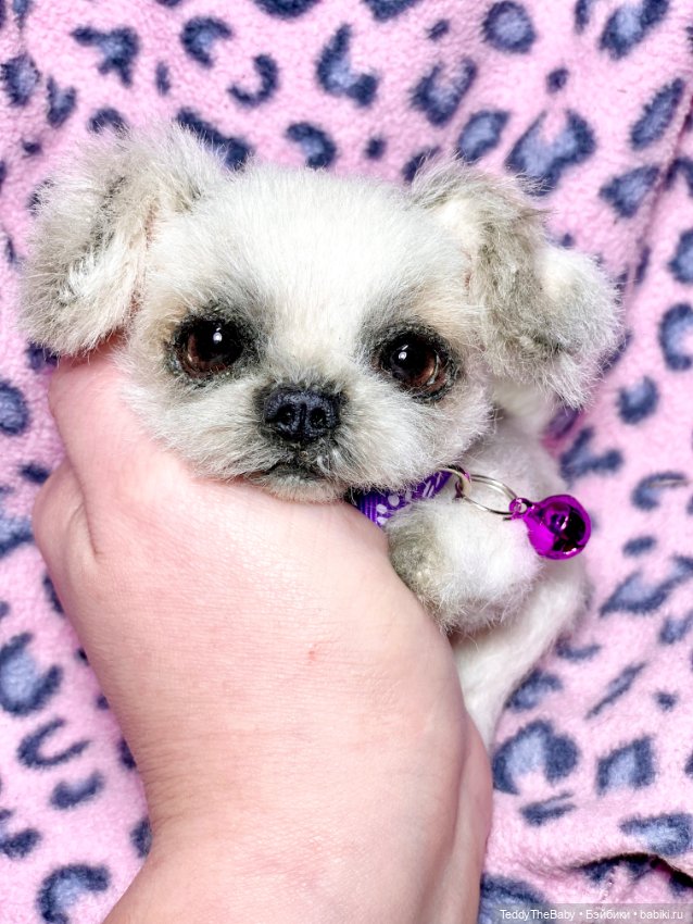 Пуся🐶 — Реалистичные игрушки и звери (Натюр): собаки (фото 9)