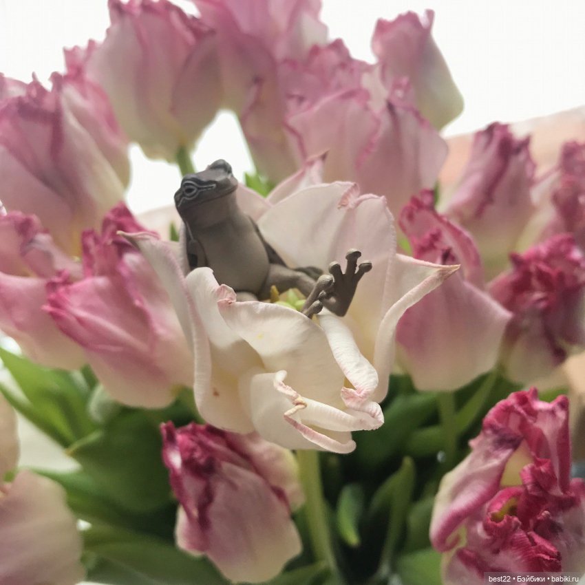 Капсульный лягушонок — Интересные игрушки и фигурки (разное): редкие