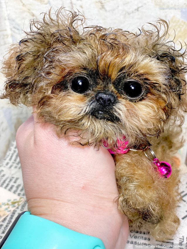 Molly — Реалистичные игрушки и звери (Натюр): собаки