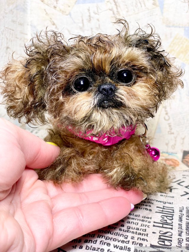 Molly — Реалистичные игрушки и звери (Натюр): собаки