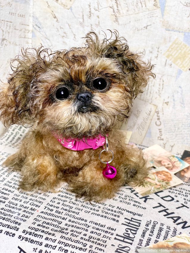 Molly — Реалистичные игрушки и звери (Натюр): собаки