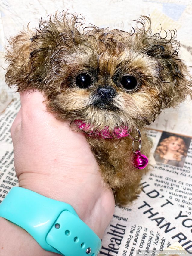 Molly — Реалистичные игрушки и звери (Натюр): собаки