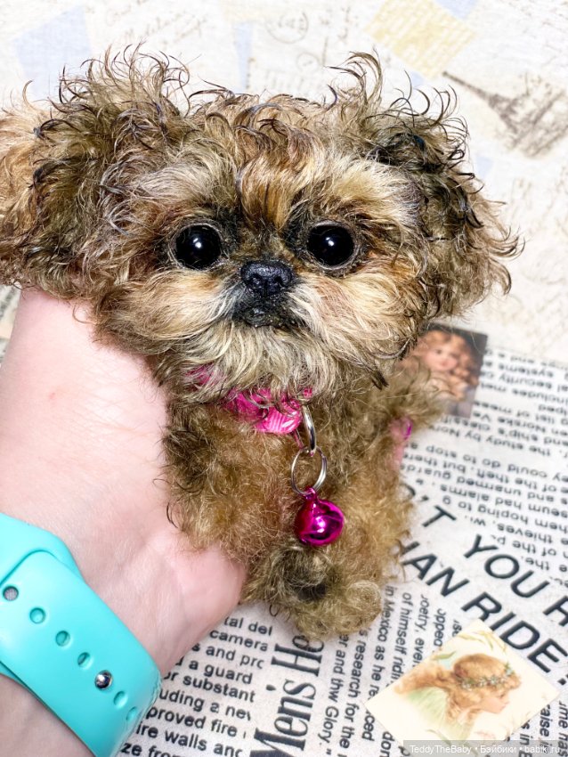 Molly — Реалистичные игрушки и звери (Натюр): собаки