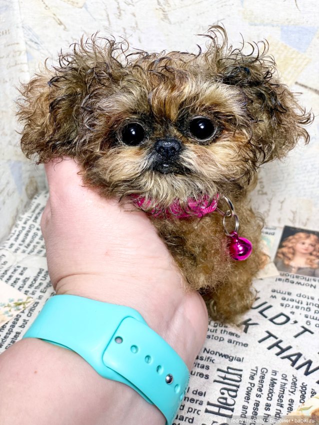 Molly — Реалистичные игрушки и звери (Натюр): собаки