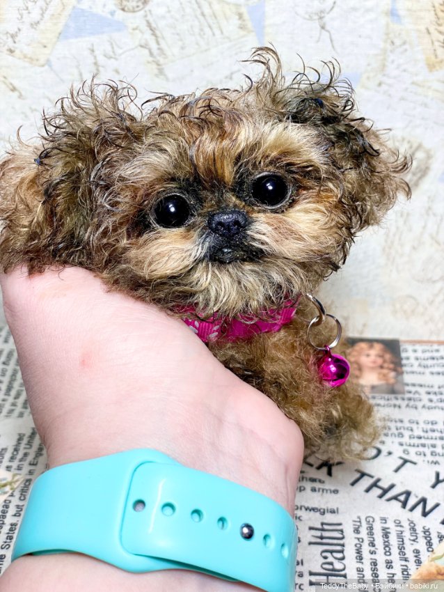 Molly — Реалистичные игрушки и звери (Натюр): собаки