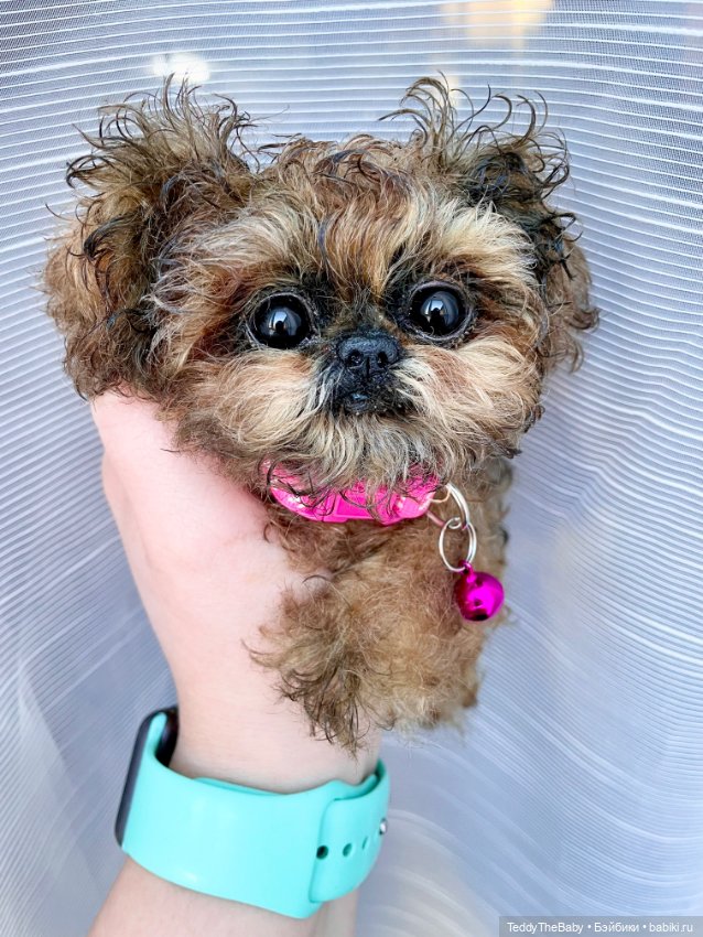 Molly — Реалистичные игрушки и звери (Натюр): собаки (фото 3)