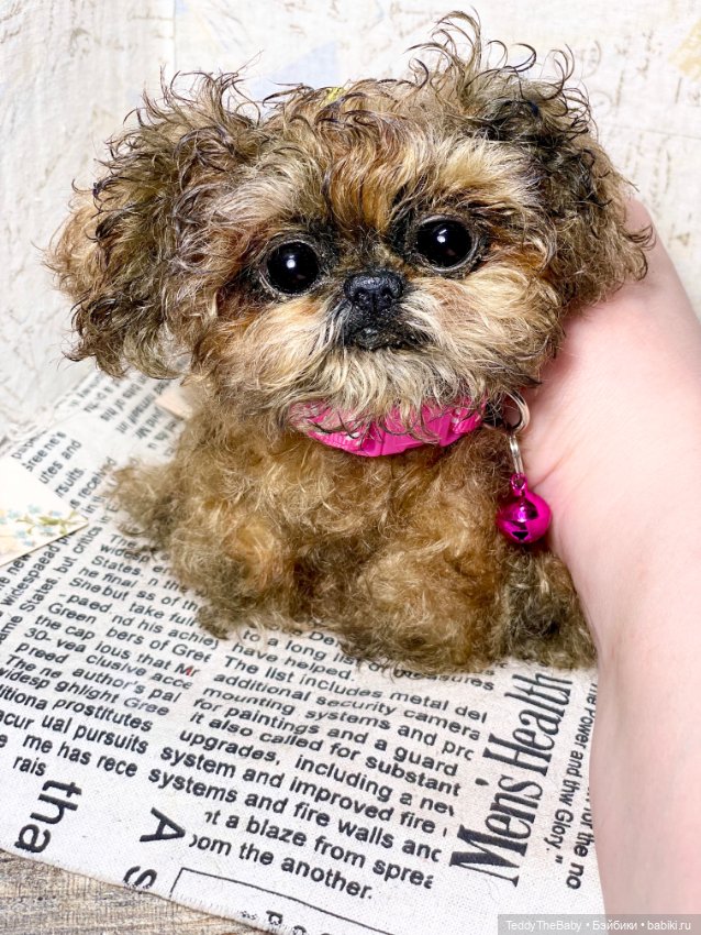 Molly — Реалистичные игрушки и звери (Натюр): собаки